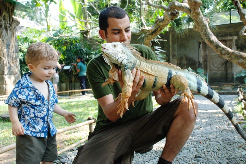 Bali Bird Park in Gianyar, Bali - Indonesia - Mari Bali Tours 