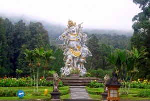 Bali Botanical Garden in Bedugul Highland, Bali Island - Mari Bali Tours jpg (25)