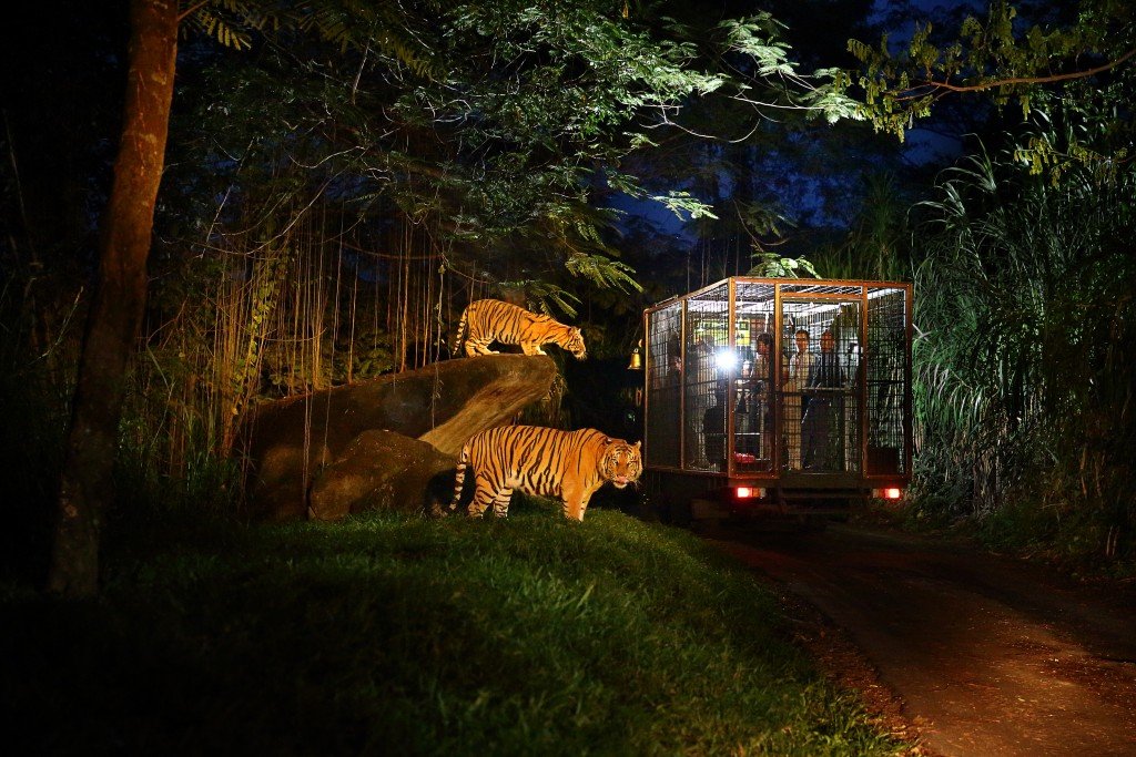 Bali Night Safari in Bali Safari & marine park, in Gianyar, Bali - Indonesia - Mari Bali Tours
