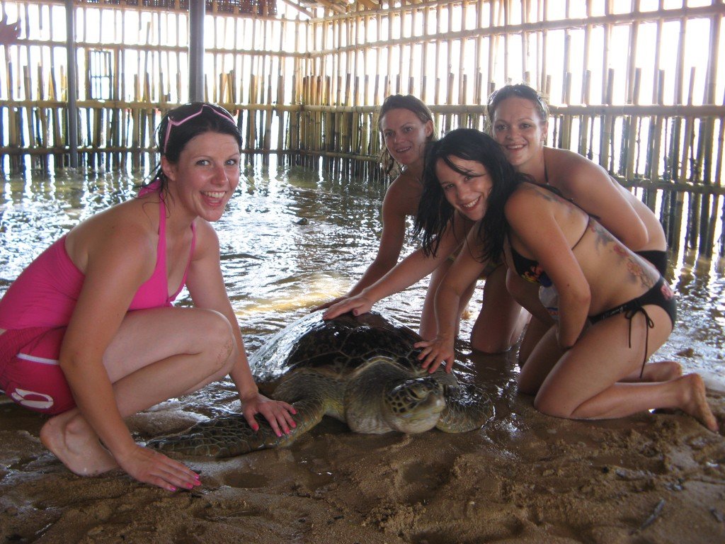 Turtle Island with Glass bottom boat trip - Mari Bali Tours