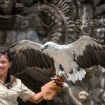 Bali Safari and Marine park in Gianyar, Bali - Mari Bali Tours (165)