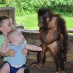 Bali Safari and Marine park in Gianyar, Bali - Mari Bali Tours (17)