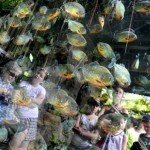 Bali Safari and Marine park in Gianyar, Bali island - Mari Bali Tours (23)