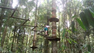 Bali Treetop Activity - Mari Bali Tours (15)