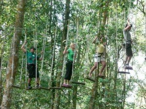 Bali Treetop activity at bedugul botanical garden - Mari Bali Tours (4)